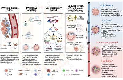 Nanoparticle-Based Therapies for Turning Cold Tumors Hot: How to Treat an Immunosuppressive Tumor Microenvironment